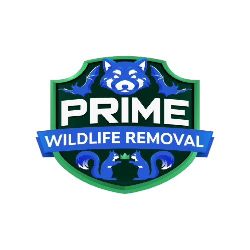Wildlife Removal Attica
